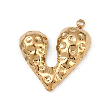 304 Stainless Steel Pendants LS-STAS-B092-10G-1
