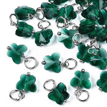 Faceted Transparent Glass Charms GLAA-T024-06F-1
