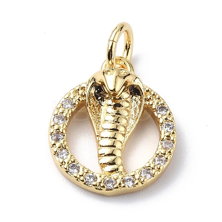 Brass Micro Pave Cubic Zirconia Charms ZIRC-F131-12G-1