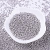 MIYUKI Delica Beads SEED-MY11-DB0429-2