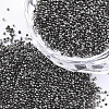FGB Plated Glass Seed Beads SEED-S019-08A-1