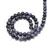 Natural Sodalite Round Beads Strands G-P075-07-8mm-2