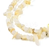 Natural Freshwater Shell Beads Strands BSHE-G036-02-3