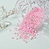 Glass Seed Beads X-SEED-S059-010-7