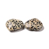 Natural Dalmatian Jasper Heart Love Stone G-I285-06M-3