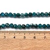 Natural Apatite Beads Strands G-A276-C08-4mm-02-5