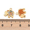 304 Stainless Steel Charms STAS-H241-02G-3