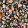 Glass Seed Beads SEED-T009-02F-3