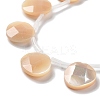 Natural Trochus Shell Beads Strands BSHE-D021-02A-3