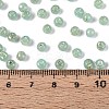 Picasso Baking Paint Glass Seed Beads SEED-N007-35D-4