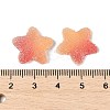 Imitation Candy Food Style Resin Cabochons X1-RESI-R461-02L-3