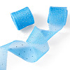 2Rolls Polyester Hot-fix Rhinestone Raw Edges Ribbon OCOR-TA0003-95K-2