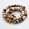 Round Natural Zebra Jasper Beads Strands G-N0120-41-8mm-2