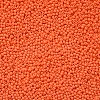 11/0 Grade A Baking Paint Glass Seed Beads X-SEED-N001-A-1067-2
