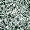 Spray Painted with Glitter Powder Glass Seed Beads SEED-T007-09C-2