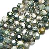 Natural Tree Agate Beads Strands G-C116-A150-01-2