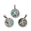 304 Stainless Steel with Paua Shell Pendants STAS-G268-02X-P-1