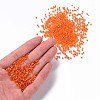 Round Glass Seed Beads SEED-A007-2mm-169B-4