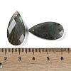 Natural Labradorite Pendants X-G-C140-05J-3
