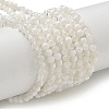 Crackle Glass Beads Strands GLAA-U001-4mm-07-1