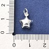 925 Sterling Silver Pendants STER-P057-06S-3