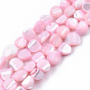 Natural Trochid Shell/Trochus Shell Beads Strands SSHEL-N032-49-A06-1