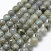 Natural Labradorite Beads Strands G-P322-28-10mm-1