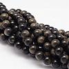 Natural Golden Sheen Obsidian Beads Strands G-K115-13-8mm-1