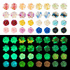 48Pcs 16 Styles Luminous Opaque Resin Cabochons RESI-TA0002-27-1