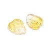 Two-Tone Transparent Glass Charms X-GLAA-H016-15J-2