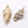 Golden Electroplated Conch Shell Pendants X-BSHE-M016-02-2