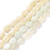 Natural New Jade Beads Starnds G-P469-09-1