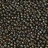 TOHO 6/0 Round Beads X-SEED-TR06-0083-3