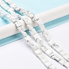 Natural Howlite Beads Strands G-K337-05-2