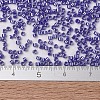 MIYUKI Delica Beads SEED-JP0008-DB1569-2