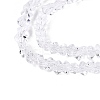 Transparent Glass Beads Strands GLAA-N018-3mm-02-4