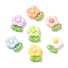 Cartoon Opaque Resin Cabochons X-RESI-C039-03E-1