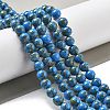 Synthetic Gold Line Turquoise Beads Strands G-A255-A03-01A-4