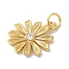 Rack Plating Brass & Cubic Zirconia Pendants X-KK-L216-056G-3