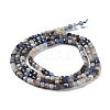 Natural Sodalite Beads Strands G-J400-A06-01-3