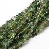 Natural Apatite Chip Beads Strands G-E241-83-1