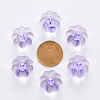 Transparent Acrylic Beads TACR-S154-19A-47-3