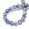 Natural Blue Spot Jasper Bead Strands G-R193-15-4mm-2
