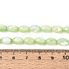 Natural Trochus Shell Beads Strands X-SHEL-K006-19-01C-4