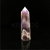 Point Tower Natural Amethyst Home Display Decoration PW23030656495-1