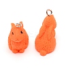Resin Pendant RESI-WH0020-07A-1