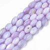 Natural Freshwater Shell Beads Strands SHEL-N003-25-B04-1