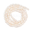 Natural Cultured Freshwater Pearl Beads Strands PEAR-F020-09-3