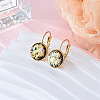 Flat Round 201 Stainless Steel Natural Shell Leverback Earrings FS-WG6391F-07-1