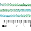 Transparent Painted Glass Beads Strands DGLA-A034-T2mm-A17-3